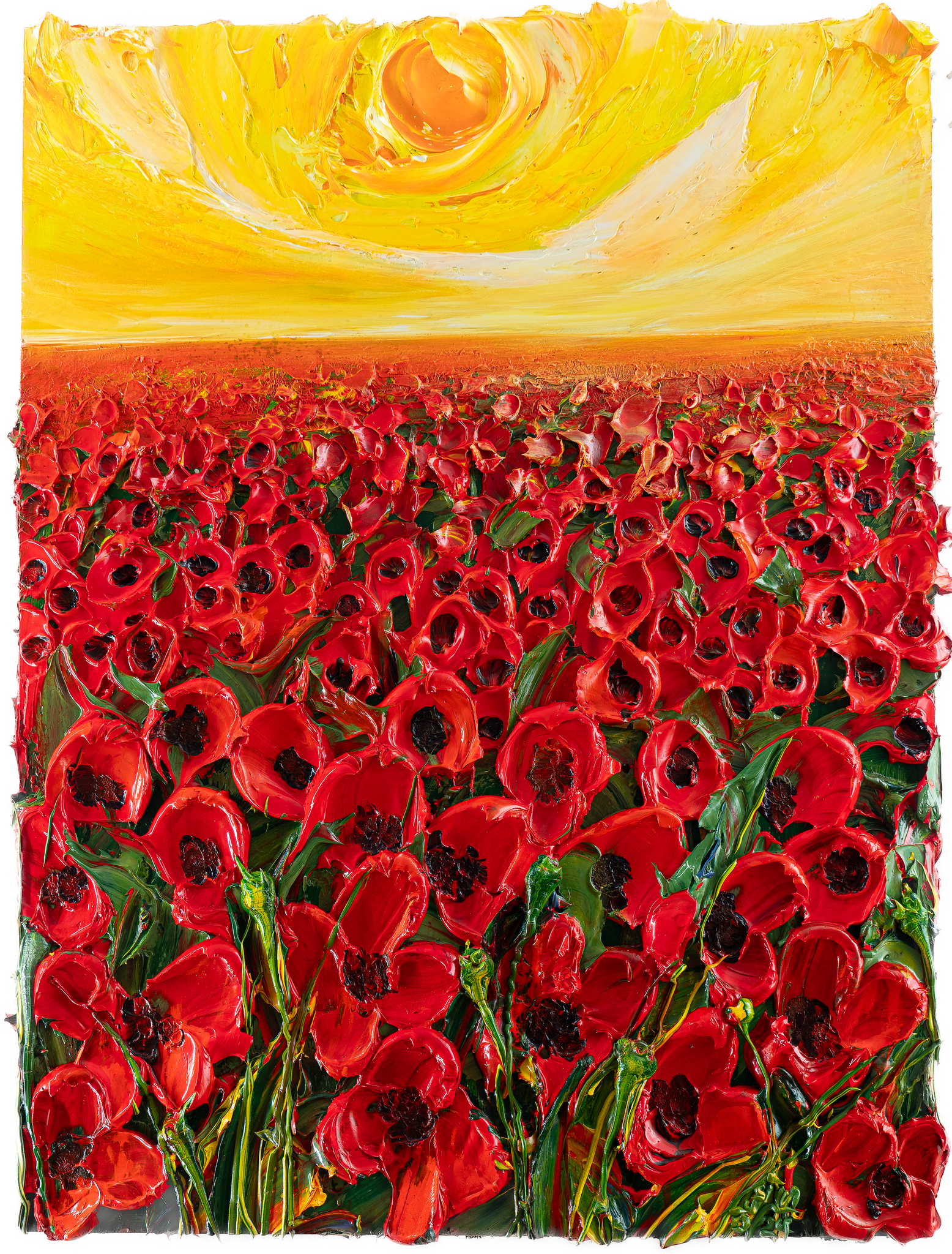 Poppy Field 02, 36x48