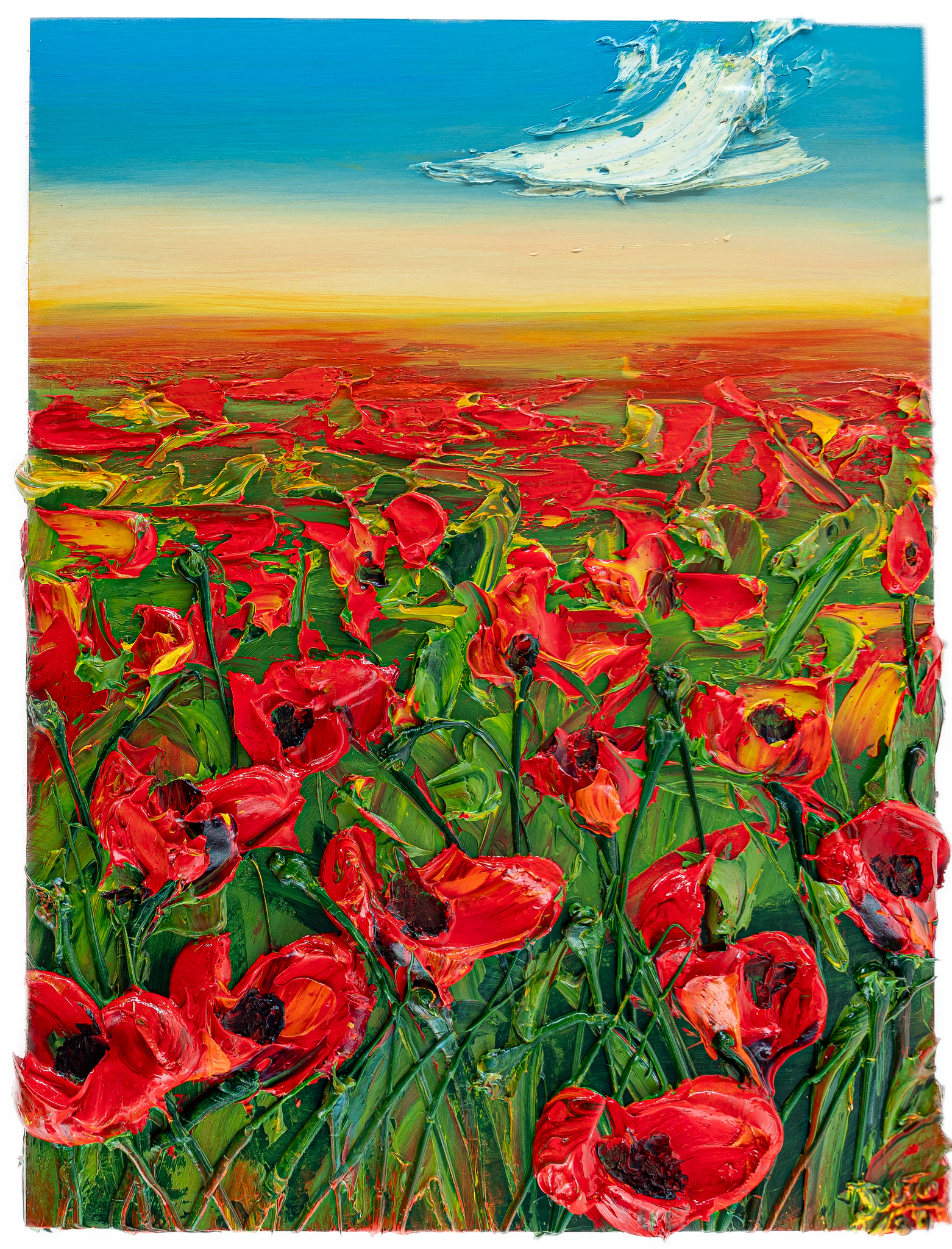 Poppy Field 02, 30x40