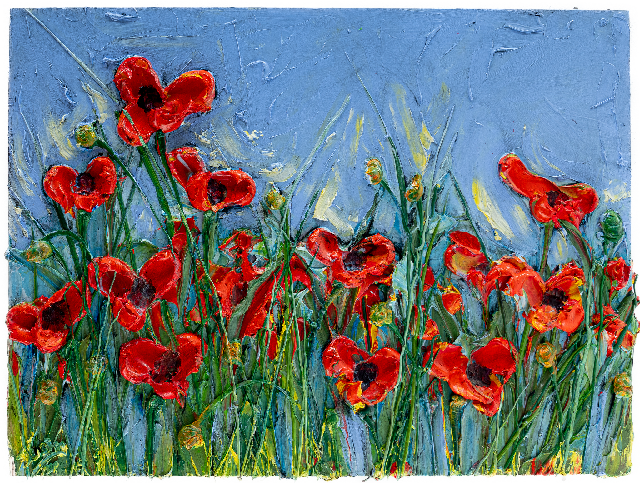 Poppies 01, 40x30