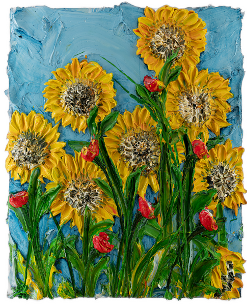 sunflower様 Sunflower Shock-o-Lat F1 Seed – Harris Seeds