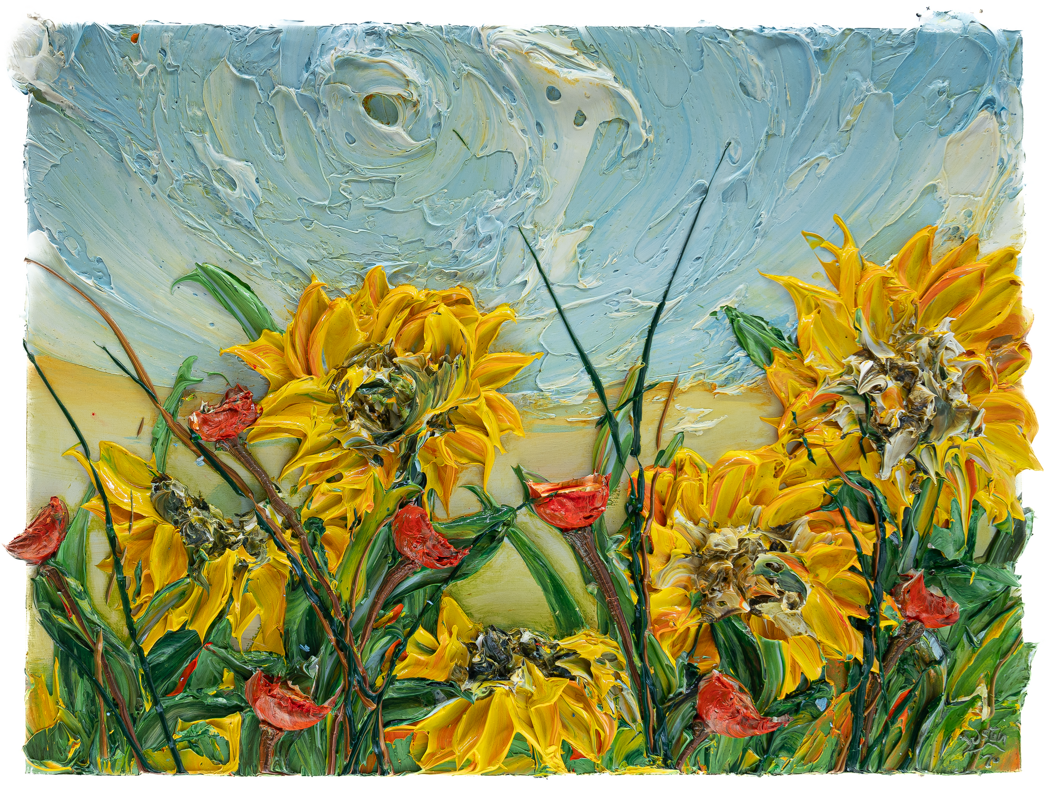 Sunflower Field 01, 40x30