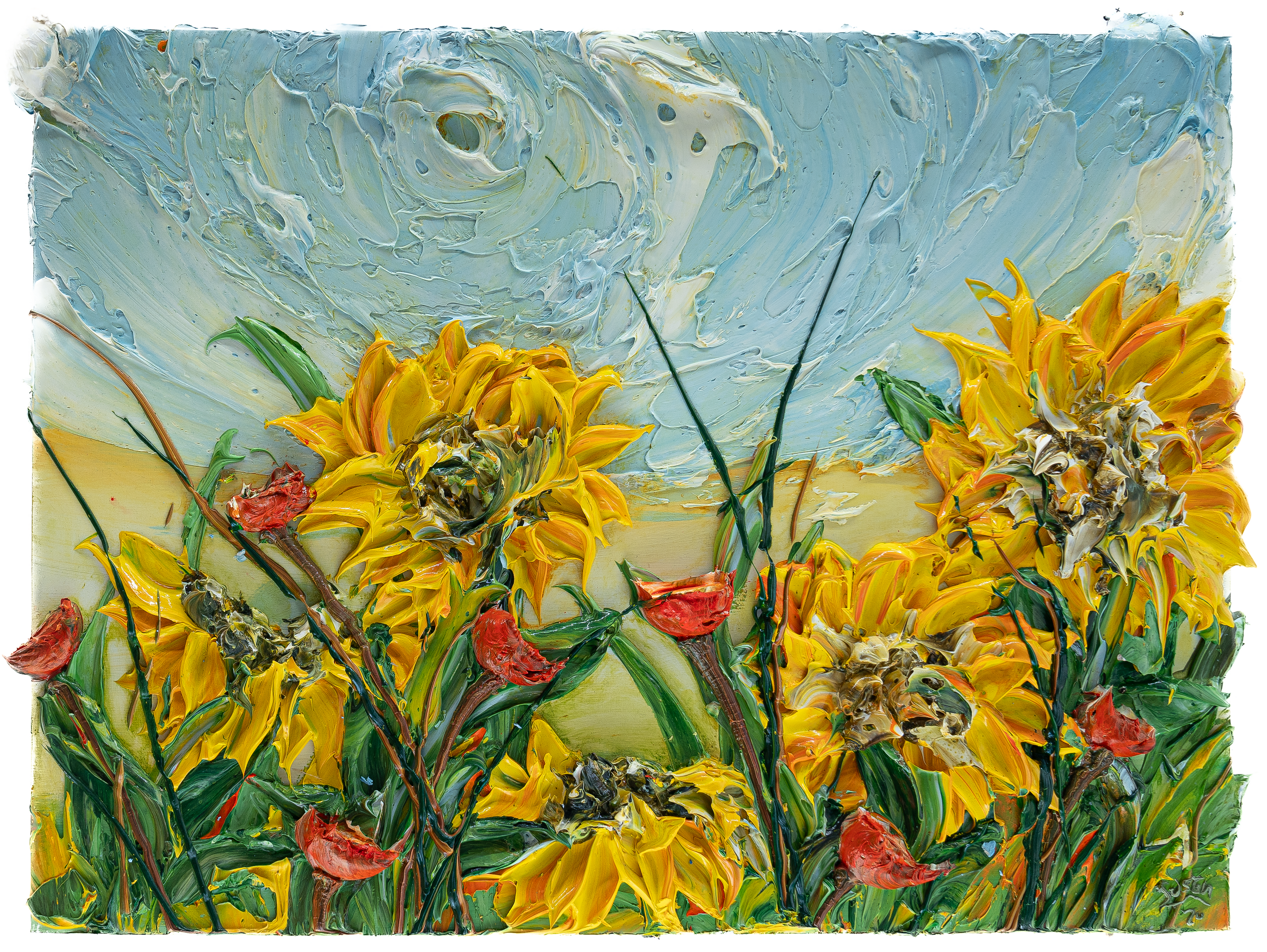 Sunflowers and Poppies 2024 – Justin Gaffrey