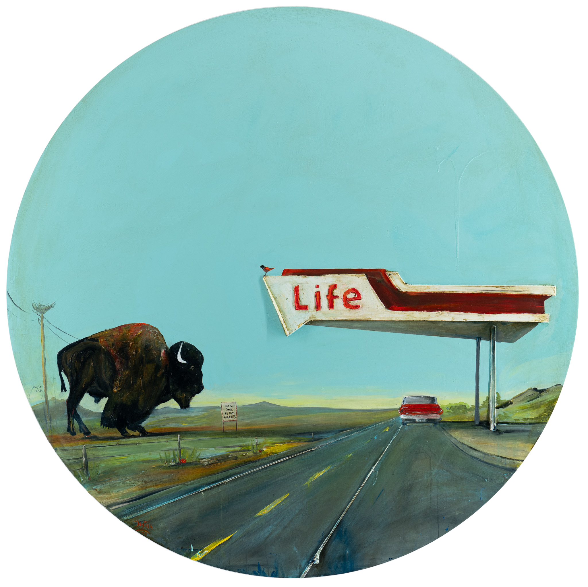 Bison Life, 48x48