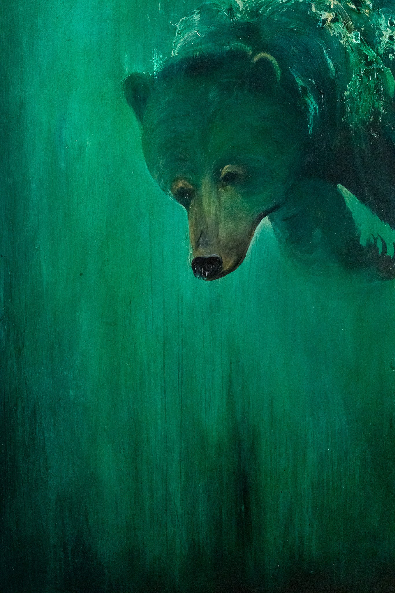 Bear Dives, 48x60