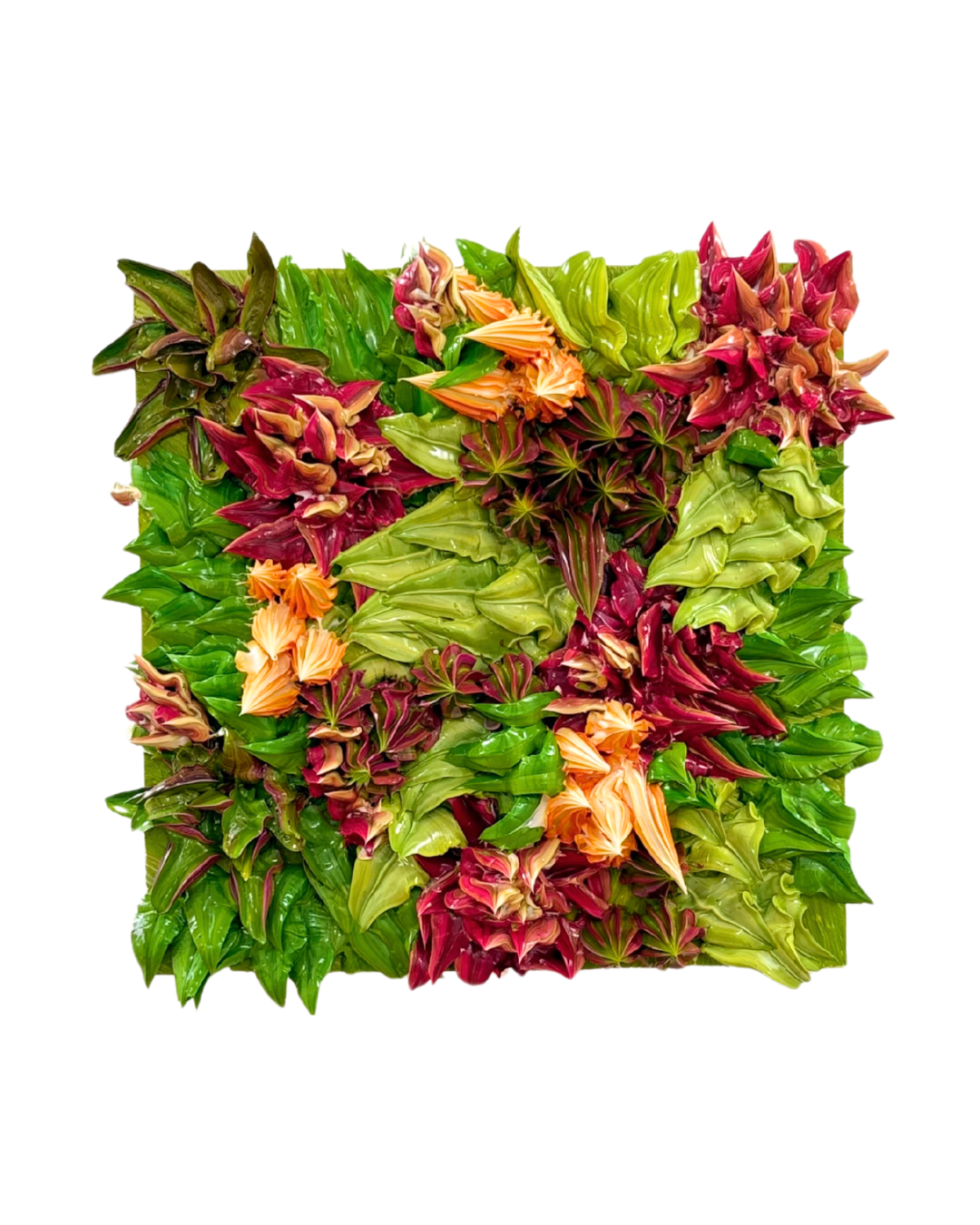 Succulent Small 12x12 - 2025 35