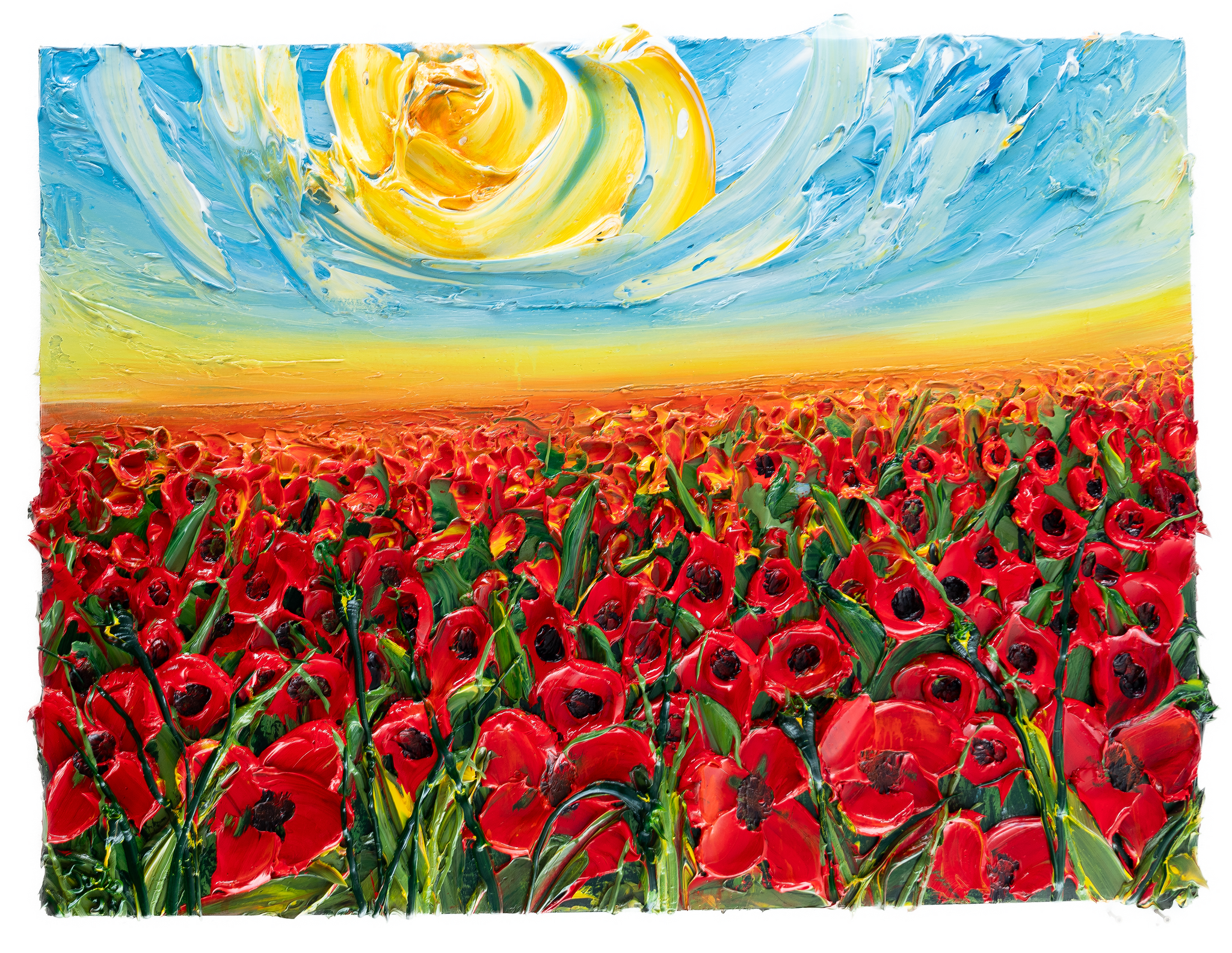 Poppy Field 05, 48x36