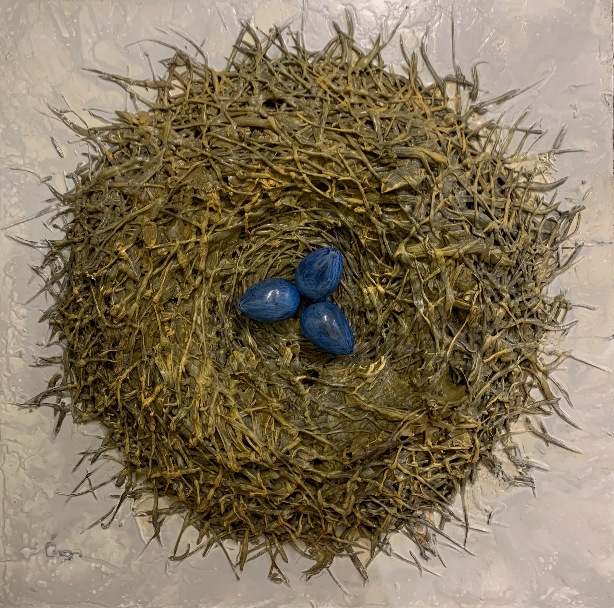 Nest, 48x48