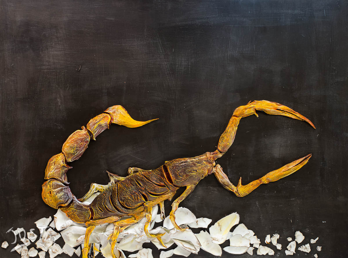 LOT 38 | 1125 AUCTION | SCORPION 48x36